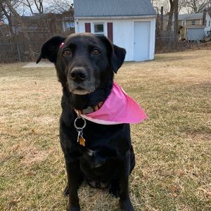 Meet your Posher, Danielle